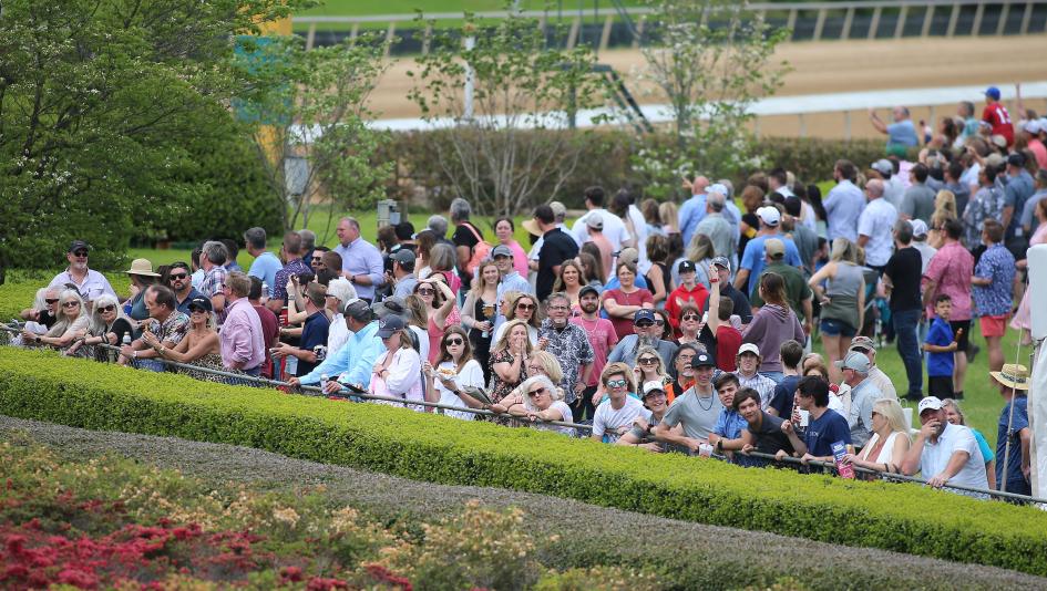 Learn to Bet on Horse Racing: Growing Our Game All About Empowering ‘Newbies’